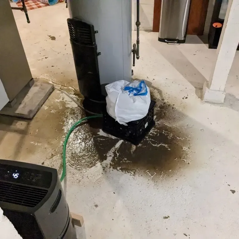 Sewage Backup Cleanup Service in Auberry, CA
